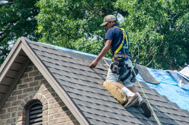 Best Metal Roofing Contractor  in Sterling, IL